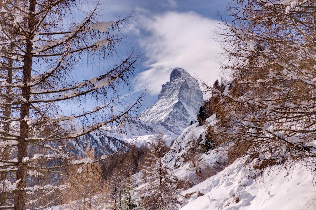 Chalet Zen Zermatt, 100M From Ski Lift And Piste Extérieur photo